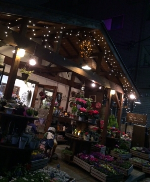 「はなんちゅ」　（東京都練馬区）の花屋店舗写真2